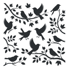 Birds Silhouettes on Tree Branches with Leaves on Transparent Background