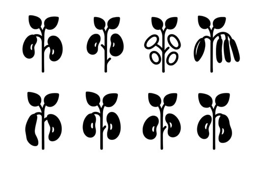 Bean Plant Icons. Solid, filled icon set of bean plant types: kidney bean plant, pinto bean plant, navy bean plant, mung bean plant, soy bean plant, black bean