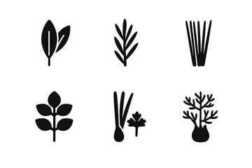 Fototapeta premium Culinary Herb Icons. Solid, filled icon set of culinary herbs: sage, tarragon, chives, bay leaf, marjoram, lemongrass, coriander, fennel. Solid, filled icons