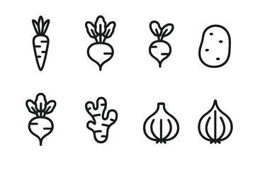 Root Vegetable Icons. Outline icon set of root vegetables: carrot, beetroot, radish, potato, turnip, ginger, garlic, onion. Line icons in only black color,