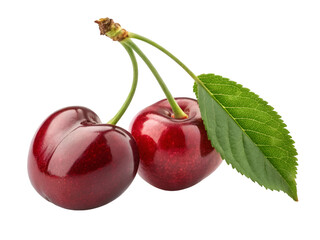 Two glossy dark red cherries with green stems and one leaf cherry fruit