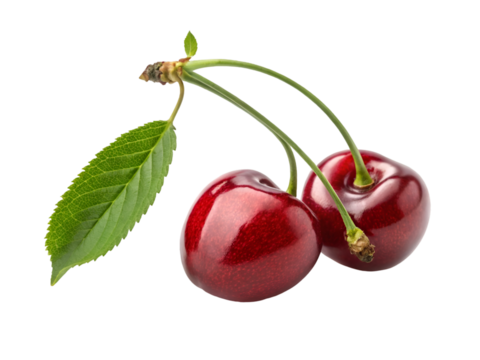 Two ripe red cherries with green stems and leaf on black background cherry fruit