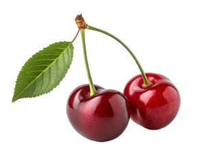Two glossy red cherries with green stem and leaf on black cherry fruit