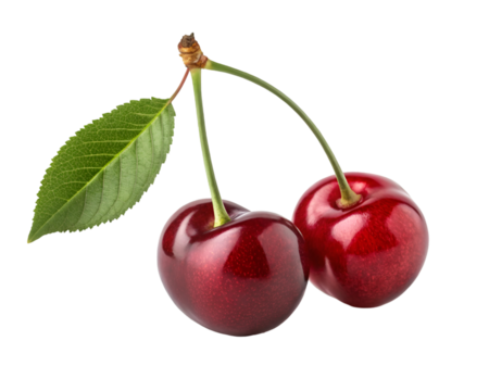 Two glossy red cherries with green stem and leaf on black cherry fruit