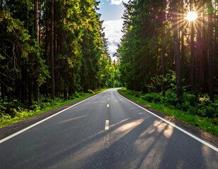 Fototapeta premium Forest Road Sunlight Path.