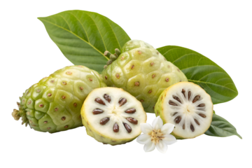 Fresh Noni Fruit Halved with Seeds and Green Leaves on Black Background morinda citrifolia tropical fruit
