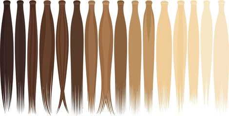 Vector art of hair color chart showing different shades of brown and blonde