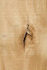 Natural wood texture. Cut wood plank. Cracked wood