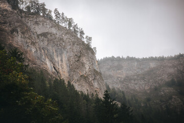 mountain landscape with fog