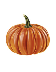 Halloween pumpkin orange 