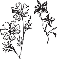 black and white flowers vector illustration