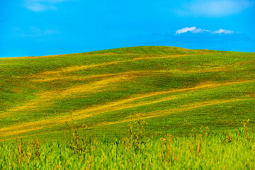Fototapeta premium Amazing Tuscany panoramic landscape with green rolling hills with trees in spring, Italy.