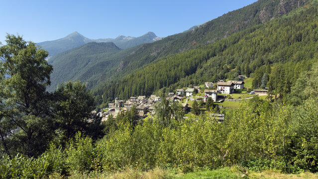 View of the village of Primolo in Valmalenco from the pine forest lookout.