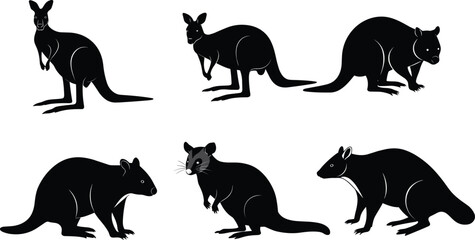 Fototapeta premium Australian animal silhouettes set, collection of vector illustrations of different wild animals in black color, on white background, isolated, for design
