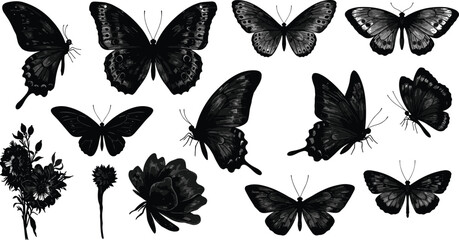 Butterfly silhouette illustration, floral vector design, nature insect graphic, flying butterfly shadow art, garden flower decoration element