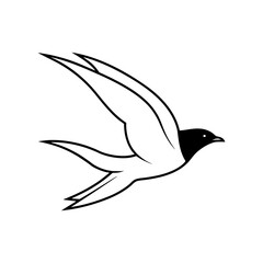 vector illustration of a bird