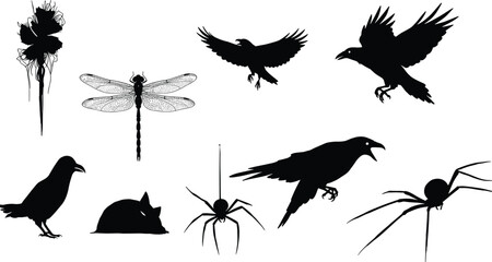Crow silhouette, raven flying illustration, black bird design, spider vector, dragonfly artwork, animal silhouette, dark gothic style