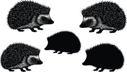 Hedgehog illustrations and silhouettes set with detailed spiky texture, wild animal vector design for nature and forest themes