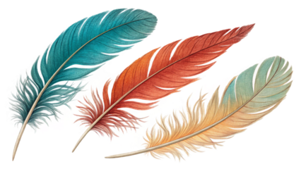 Wing feathers transparent background
