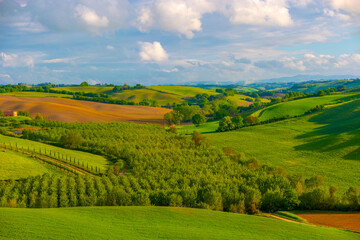 Fototapeta premium Amazing Tuscany panoramic landscape with green rolling hills with trees in spring, Italy.