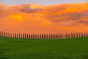 Obraz premium Early morning on countryside, Tuscany landscape in spring fields green meadows, Tuscany, Italy.