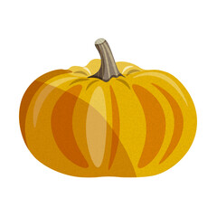 Vector Illustration - Squash, editable, Autumn