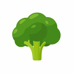 Broccoli vegetable flat vector graphic design