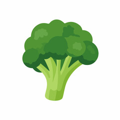 Broccoli Thin Flat Icon Without Gradient