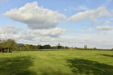 Ombres des arbres sur une grande prairie &agrave; &Eacute;caussinnes-Lalaing (Soignies)