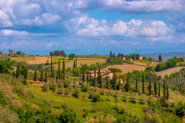 Naklejka premium San Gimignano, province of Siena. Tuscany, Italy.