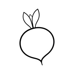 Beetroot Outline Line Art Vector