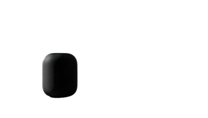 Dark, matte, oval-shaped object