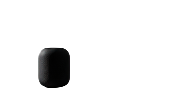 Dark, matte, oval-shaped object