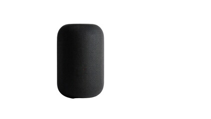 Dark gray, smooth, oblong object