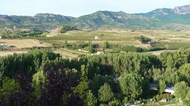 Vineyards around Haro, La Rioja, Spain