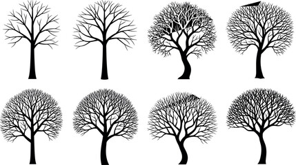 Set of leafless tree silhouettes with diverse branching styles, perfect for nature design, seasonal themes, and botanical illustration projects.