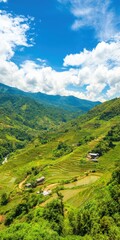 Naklejka premium Sapa valley rice terraces cultivating agriculture landscape