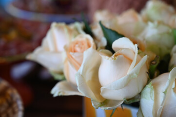soft peach and cream rose bouquet close-up, romantic floral background for weddings or events, Rosa Rosaceae species arrangement, delicate petals texture

