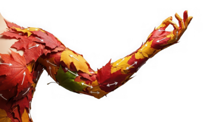 Arm and shoulder covered in autumn leaves isolated on transparent background
