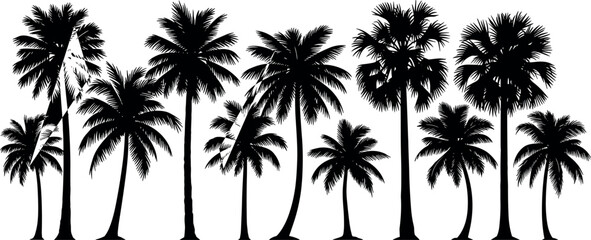 Tropical palm tree silhouettes isolated on white background for summer, beach, nature, travel, botanical, and exotic landscape design themes