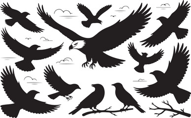 Silhouette of Birds in Flight