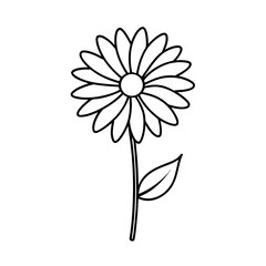 Simple black and white line drawing vector illustration of a daisy flower