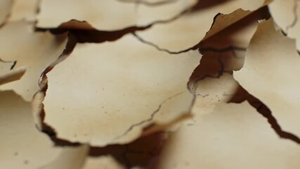 Macro Cinematic Shot of Parchment Layers with Cracking Edges and Textured Surface in Warm Tones for Historical Documents and Artistic Overlay Usage Revealing Intricate Patterns - Powered by Adobe