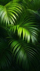 Vibrant palm fronds for nature inspired design projects. Green leaves on dark background. 