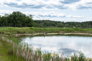 Small pond with algae and boat by grassy shore under cloudy sky