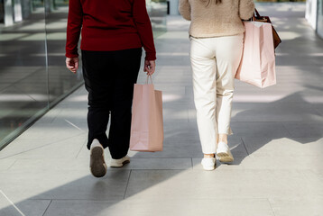 Two girls from the back walk with bags in a shopping center.