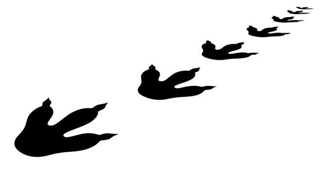 Dinosaur Footprints in Black and White