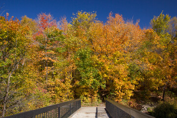 Indian summer near Quebec on a sunny day