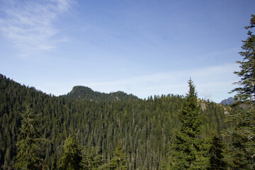On the top of Grouse Mountain near Vancouver
