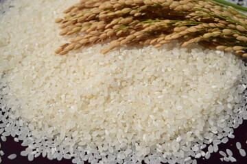 新米イメージ 収穫の秋